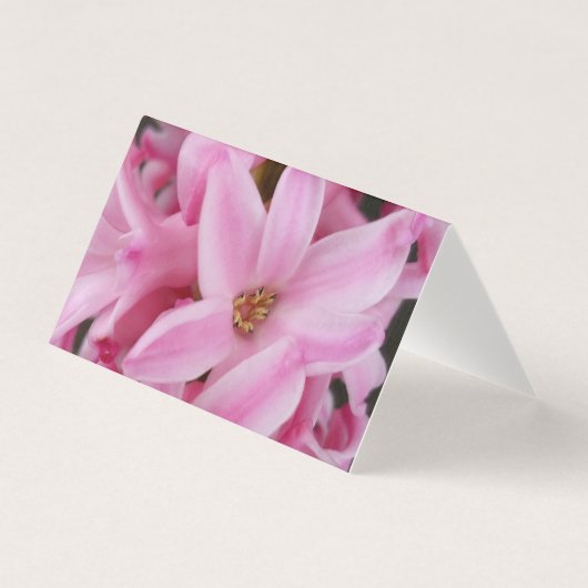 pink hyacinth flower (Front)