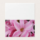 pink hyacinth flower (Outside Unfolded)