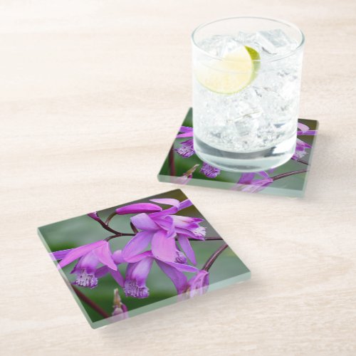 Pink Hyacinth Orchid Floral Glass Coaster