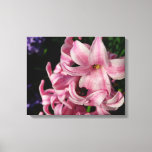 Pink Hyacinth Spring Floral Canvas Print