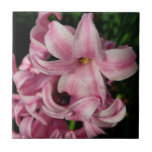 Pink Hyacinth Spring Floral Ceramic Tile