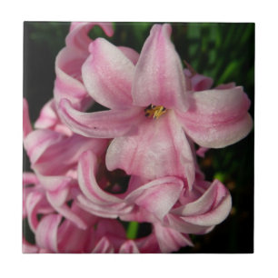 Pink Hyacinth Spring Floral Ceramic Tile