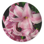 Pink Hyacinth Spring Floral Classic Round Sticker