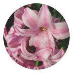 Pink Hyacinth Spring Floral Classic Round Sticker
