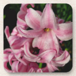 Pink Hyacinth Spring Floral Drink Coaster