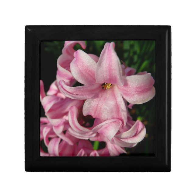 Pink Hyacinth Spring Floral Keepsake Box (Front)