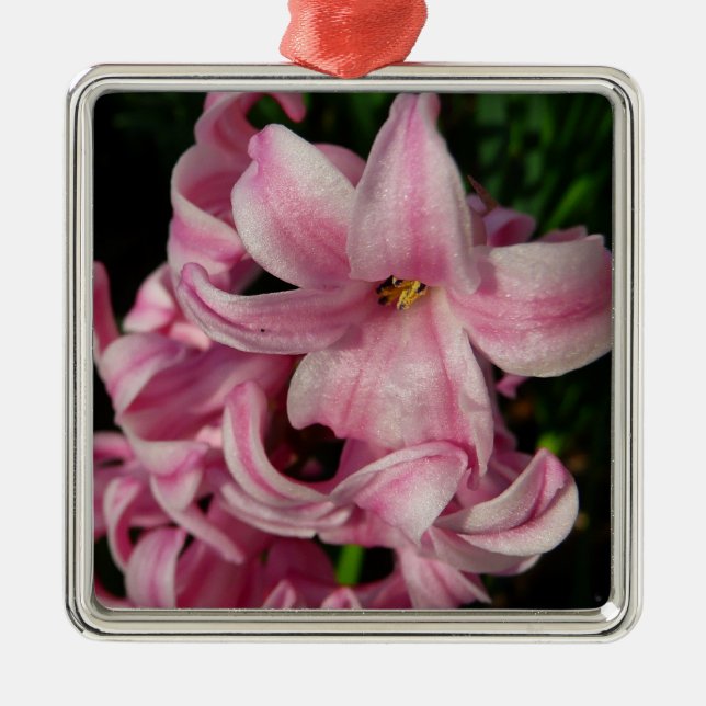Pink Hyacinth Spring Floral Metal Ornament (Front)