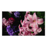 Pink Hyacinth Spring Floral Photo Print