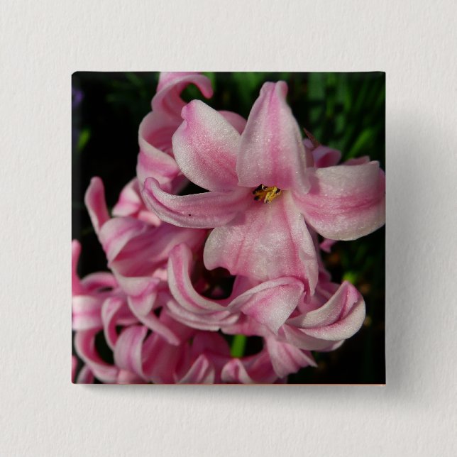 Pink Hyacinth Spring Floral Pinback Button (Front)