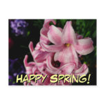 Pink Hyacinth Spring Floral Postcard
