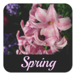 Pink Hyacinth Spring Floral Square Sticker