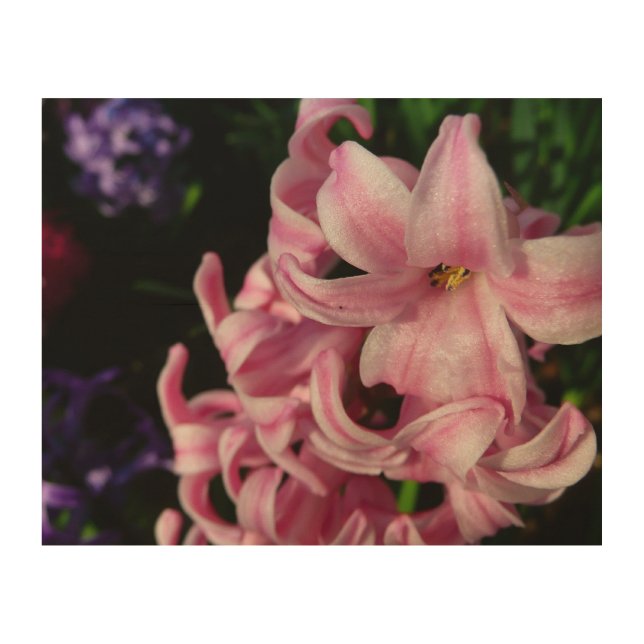 Pink Hyacinth Spring Floral Wood Wall Decor (Front)