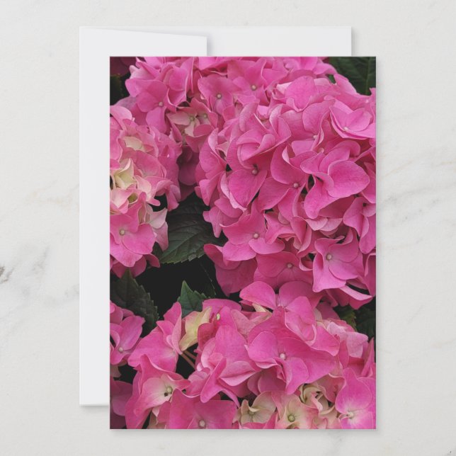 Pink hydrangea beauty   invitation (Front)