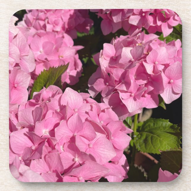  Pink Hydrangea Beverage Coaster (Front)