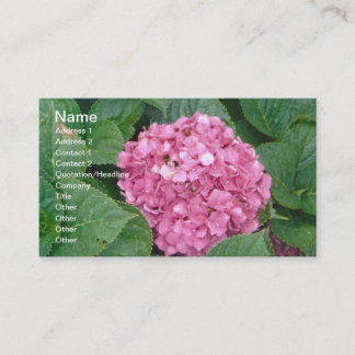 Pink Hydrangea Business Card