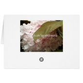 Pink Hydrangea Cards (Back Horizontal)
