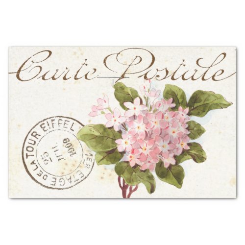 Pink Hydrangea Carte Postale Flower Vintage French Tissue Paper
