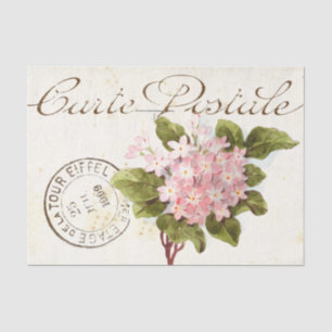 Pink Hydrangea Carte Postale Flower Vintage French Tissue Paper
