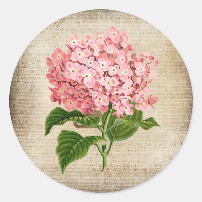 Pink Hydrangea Classic Round Sticker (Front)
