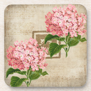 Pink Hydrangea Clusters II Beverage Coaster