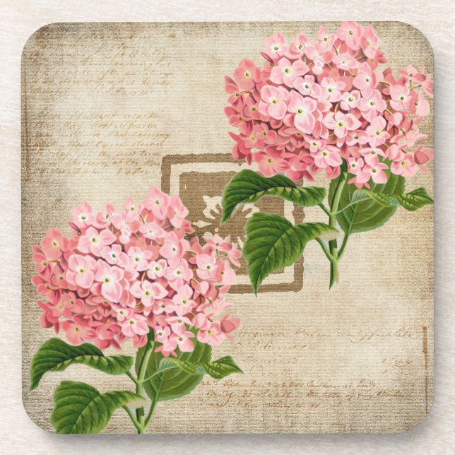 Pink Hydrangea Clusters II Beverage Coaster (Front)