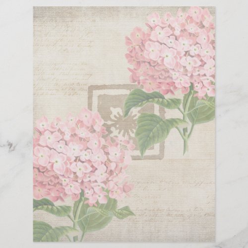 Pink Hydrangea Clusters II Letterhead