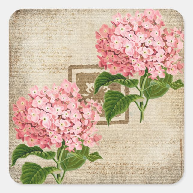 Pink Hydrangea Clusters II Square Sticker (Front)