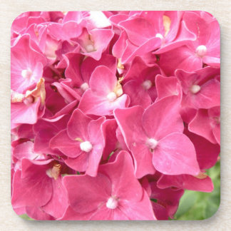 Pink hydrangea coasters