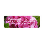 Pink Hydrangea Flower Mailing Label