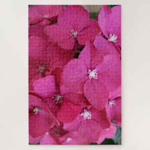 Pink Hydrangea Flower  Puzzle