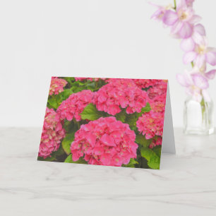 Pink Hydrangea Garden Flower Art Card