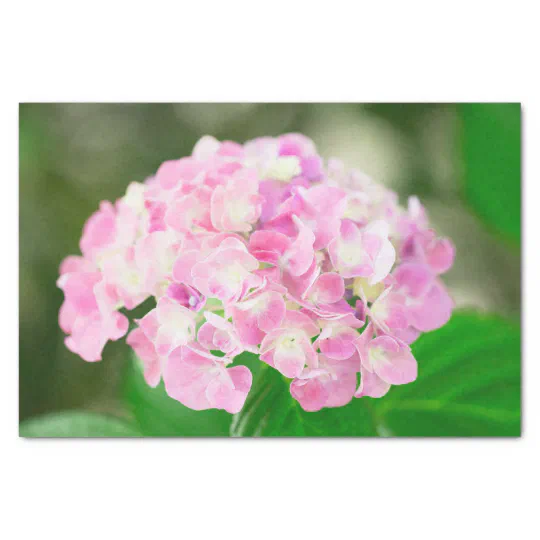 Pink Hydrangea In Summer Tissue Paper