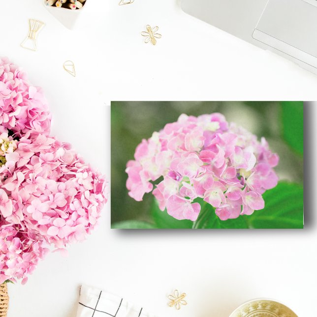 Pink Hydrangea In Summer Tissue Paper (Creator Uploaded)
