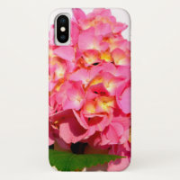 Pink hydrangea pink floral pink flower
