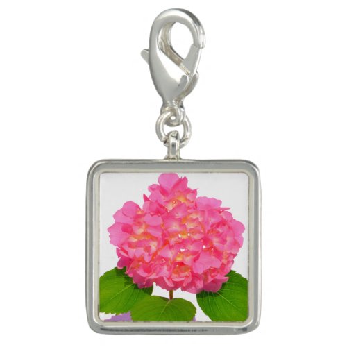 Pink hydrangea pink floral pink flower charm