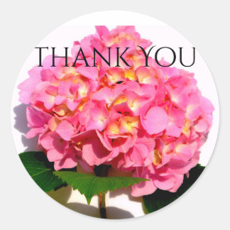 Pink Hydrangea pink floral pink flower Classic Round Sticker