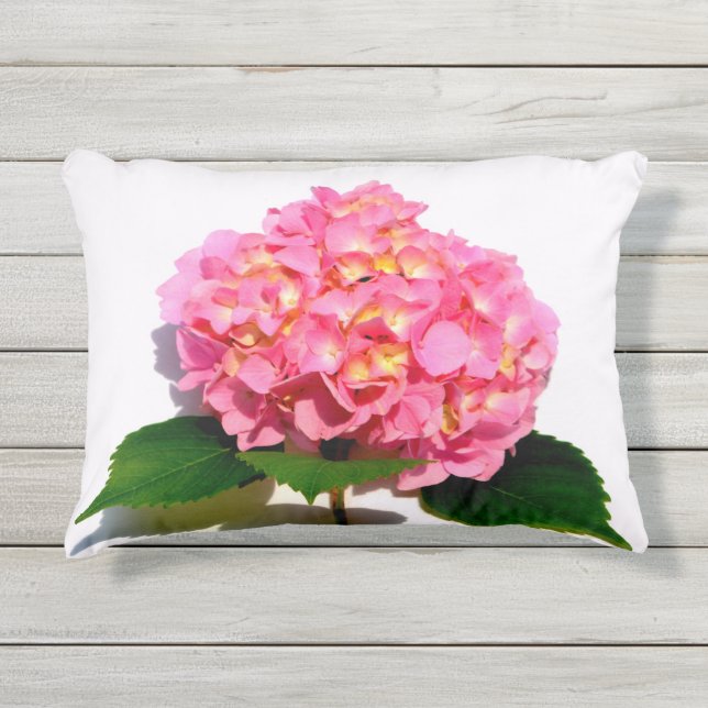 Pink Hydrangea pink floral pink flower Outdoor Pillow (Front)