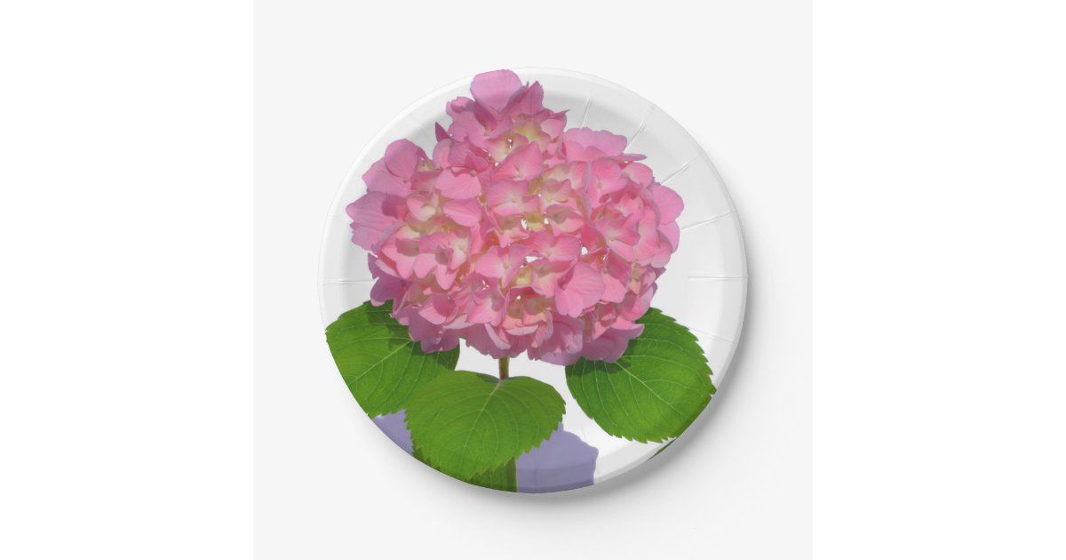 Pink Knickers Hydrangea, Pink Hydrangea Flower Bouquet