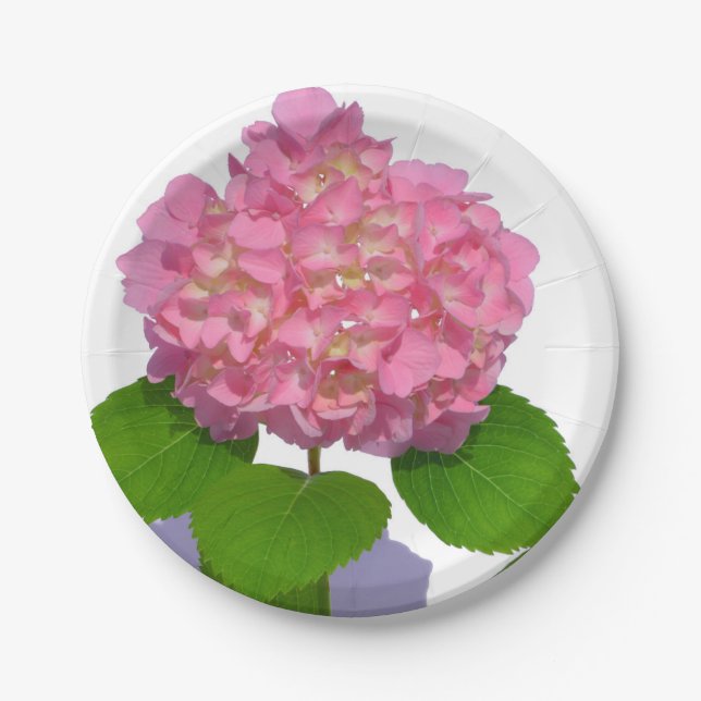 Pink hydrangea pink floral pink flower paper plates (Front)