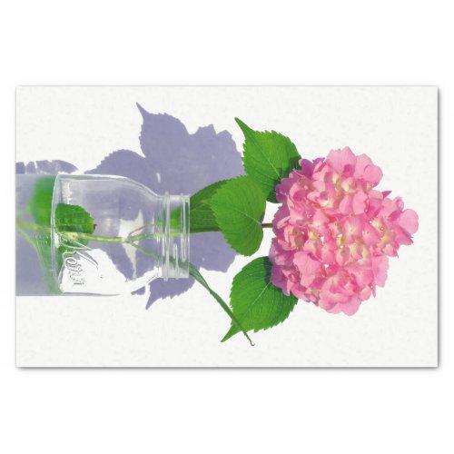 Pink hydrangea pink floral pink flower tissue paper