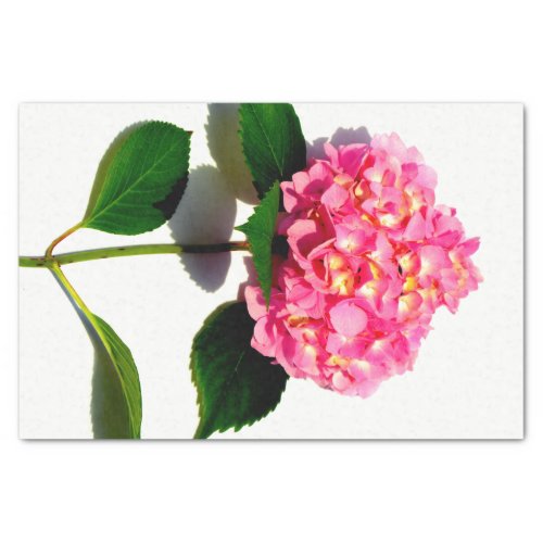 Pink hydrangea pink floral pink flower tissue paper