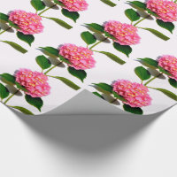Pink hydrangea pink floral pink flower wrapping paper