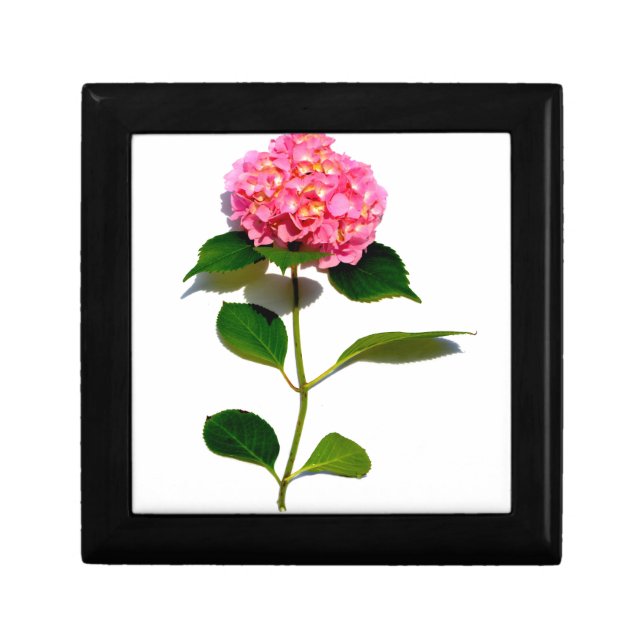 Pink hydrangea pink flower pink floral keepsake box (Front)