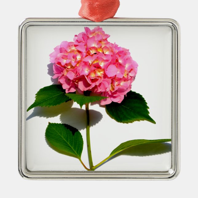 Pink hydrangea pink flower pink floral metal ornament (Front)