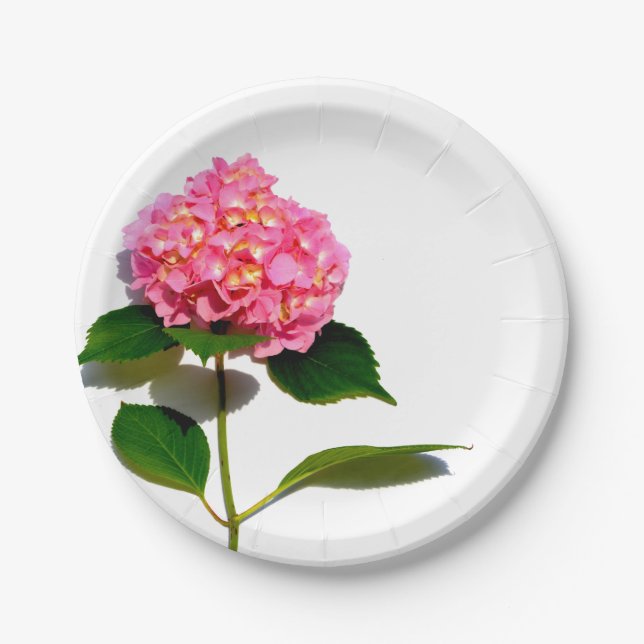 Pink Hydrangea pink flower pink floral Paper Plates (Front)