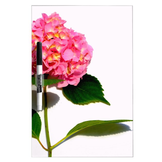 Pink Hydrangea pink flowers pink roses Dry-Erase Board (Front)