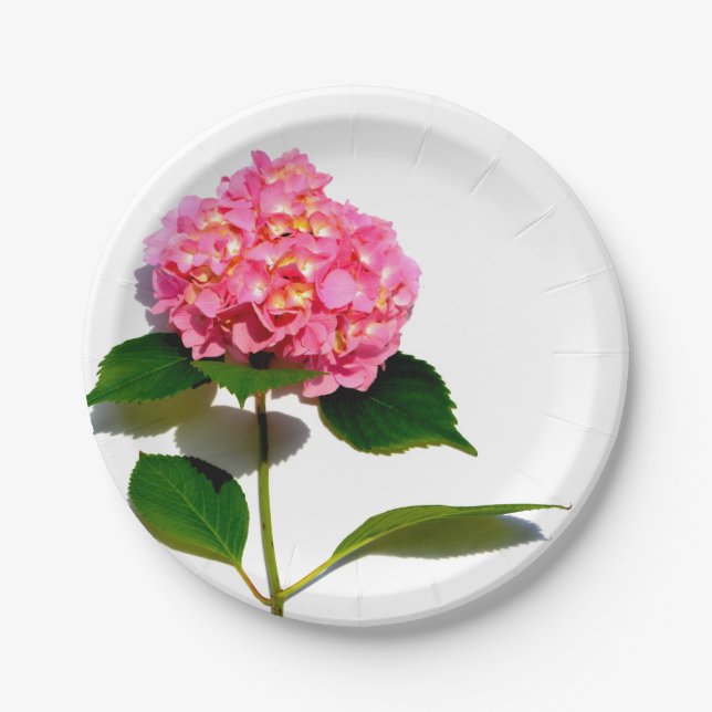 Pink Hydrangea pink flowers pink roses Paper Plates (Front)