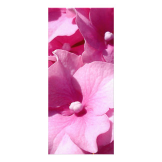 Pink Hydrangea rackcard Rack Card