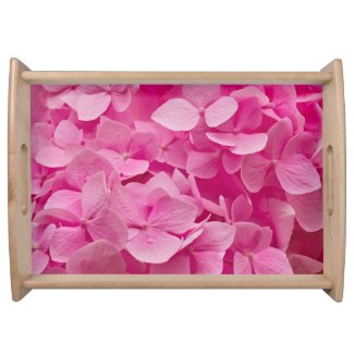 Pink Hydrangea