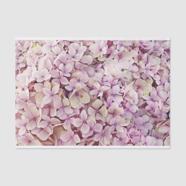 Pink Hydrangea Tissue Paper (Front)